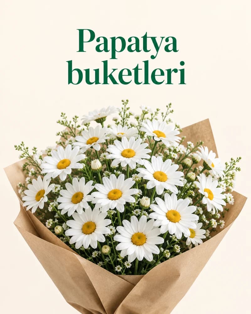 Papatya buketleri