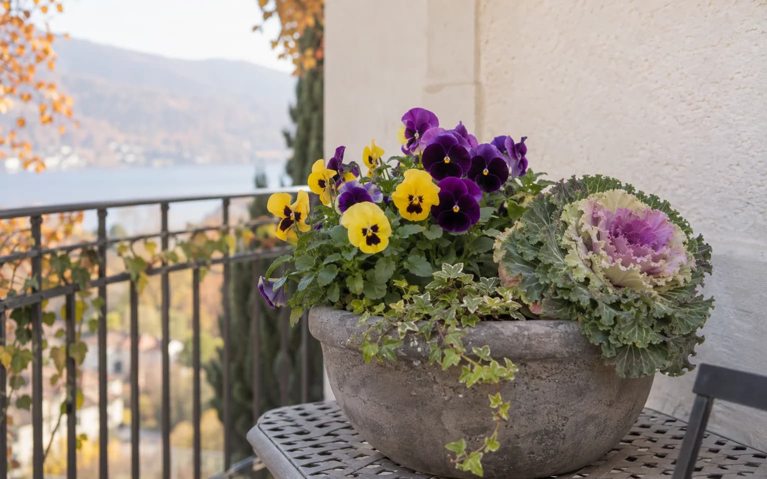 Sonbahar balkon çiçekleri olarak menekşe ve süs lahanasının yer aldığı bir saksı